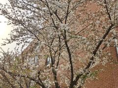 -苏州大学(天赐庄校区)