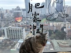-Catmate·猫肥家润(金润铂宫店)