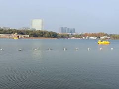 -大兴滨河森林公园