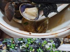 -水上鱼当家