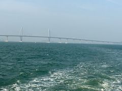 -澳门环岛游湾仔码头