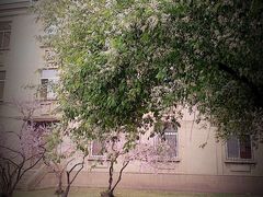 -辽宁大学(崇山校区)