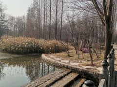-洛阳市隋唐城遗址植物园