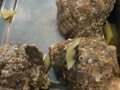 -胶东海鲜大排档(北太平庄店)