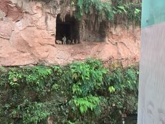 -乐山市博物馆