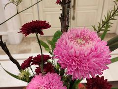 -福建鲤鱼洲酒店