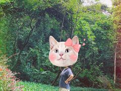 -火炉山森林公园