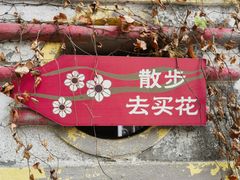 -溪岸路花鸟市场