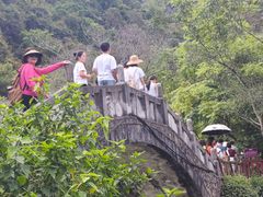 -靖西鹅泉风景区