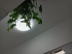 -凡碧诗毛孔收细