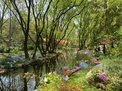 -上海共青森林公园