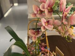 -施奈儿.洗头頭療.按摩SPA.采耳(上梅林店)