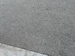-浩运·海鲜青岛菜·海胆水饺(石老人店)
