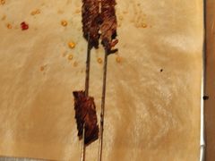 -叁宝烤肉• 西安烧烤(太乙路店)