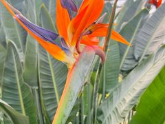 -南宫五洲植物乐园