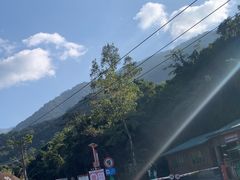 -海南霸王岭国家森林公园