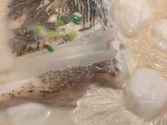 -刘胖子家常菜·蹄花焖藕(中央花园店)