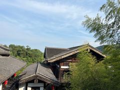 -大唐贡茶院