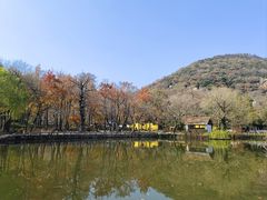 -灵岩山风景区