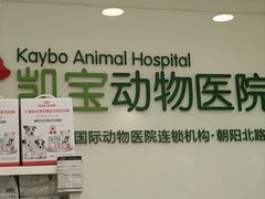 -悦宠凯宝动物医院·牙科·皮肤科(朝阳北路店)