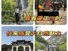 -洛阳白云山景区