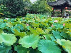 -丝绸小镇荻港古村