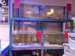 -十六蒲(桂林路店)