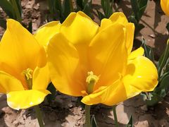 -咸阳湖景区-统一广场