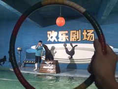 -南昌海洋公园