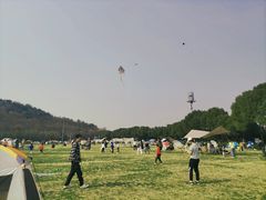 -羊山湖公园