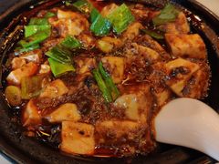 -陈麻婆豆腐总店