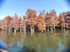 -尚湖风景区