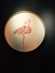 -Priscilla皮肤管理中心