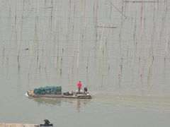 -北岐滩涂