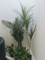 -VE小颜皮肤管理&科学美肤中心