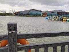 -上海长兴岛郊野公园