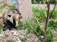 -天台山赤城山景区