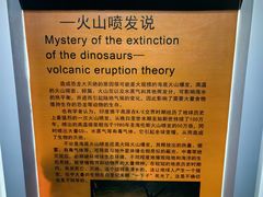 -中国西峡恐龙遗迹园