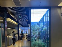 -拈菜(观音桥阳光世纪店)