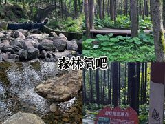 -洛阳白云山景区