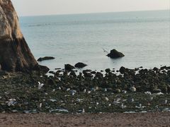 -泊石湾海滨浴场