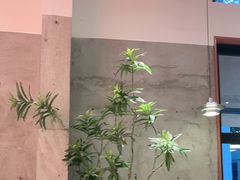 -必胜客(上海华谊新所店)
