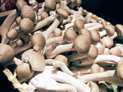 蟹味菇-湊湊火锅·茶憩(新中关购物中心店)