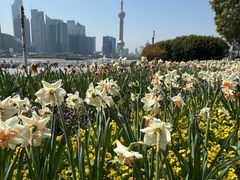 -公平路渡口(轮渡站)