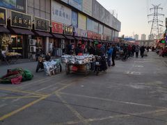 -中环花鸟鱼虫市场