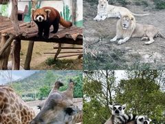 -泉州海丝野生动物世界