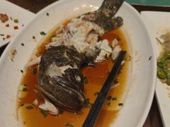 -泰康之家·申园