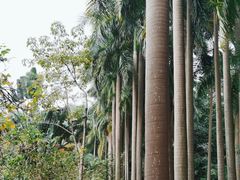 -滴水岩森林公园