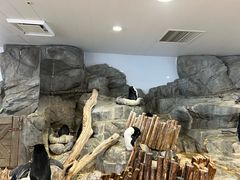 -大阪海游馆