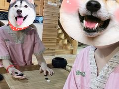 -绿岛汤泉韩式休闲会所